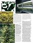 Page: - 104 | High Times