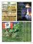 Page: - 113 | High Times
