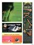 Page: - 21 | High Times