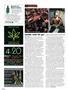 Page: - 32 | High Times