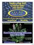 Page: - 39 | High Times