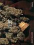 Page: - 61 | High Times