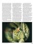 Page: - 63 | High Times