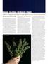 Page: - 72 | High Times