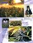Page: - 88 | High Times