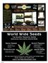Page: - 90 | High Times