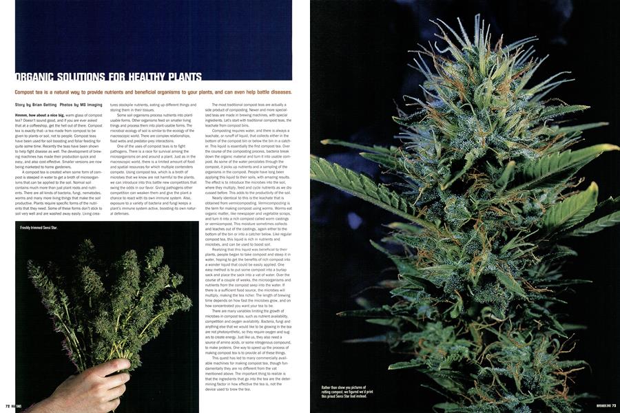 ORGANIC SOLUTIONS FOR HEALTHY PLANTS