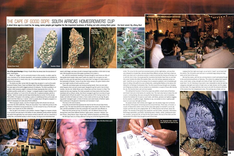 THE CAPE OF GOOD DOPE: SOUTH AFRICA'S HOMEGROWERS' CUP