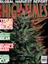 Page: - 1 | High Times