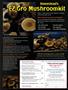 Page: - 101 | High Times