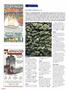 Page: - 102 | High Times