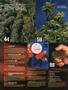 Page: - 4 | High Times