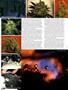 Page: - 46 | High Times