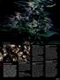 Page: - 47 | High Times