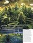Page: - 52 | High Times