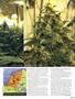 Page: - 53 | High Times