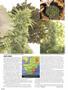 Page: - 58 | High Times