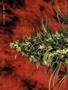 Page: - 60 | High Times