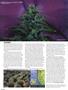 Page: - 66 | High Times