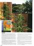 Page: - 68 | High Times