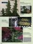 Page: - 86 | High Times