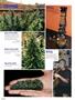 Page: - 88 | High Times