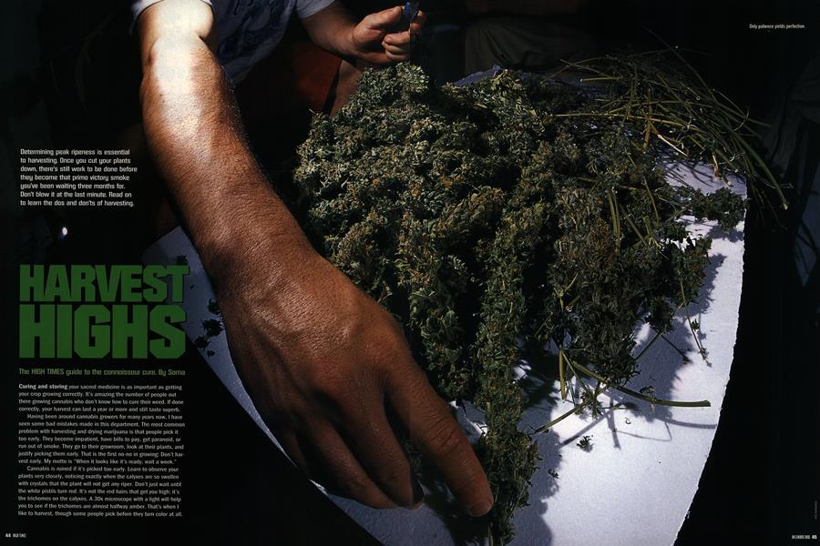 HARVEST HIGHS