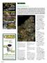 Page: - 102 | High Times