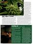 Page: - 30 | High Times