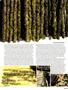 Page: - 67 | High Times
