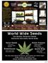 Page: - 89 | High Times