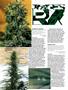 Page: - 104 | High Times