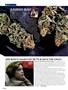 Page: - 12 | High Times