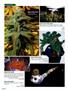 Page: - 88 | High Times