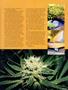 Page: - 99 | High Times