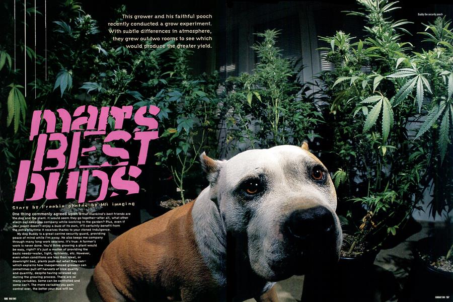 man's BEST buds