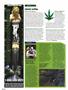 Page: - 24 | High Times