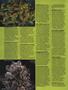 Page: - 54 | High Times