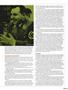 Page: - 69 | High Times
