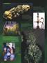 Page: - 88 | High Times
