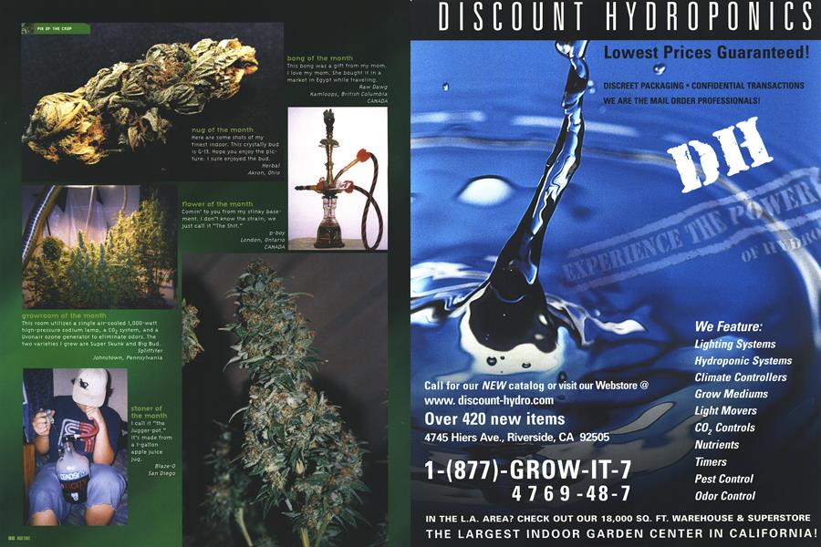 PIX OF THE CROP