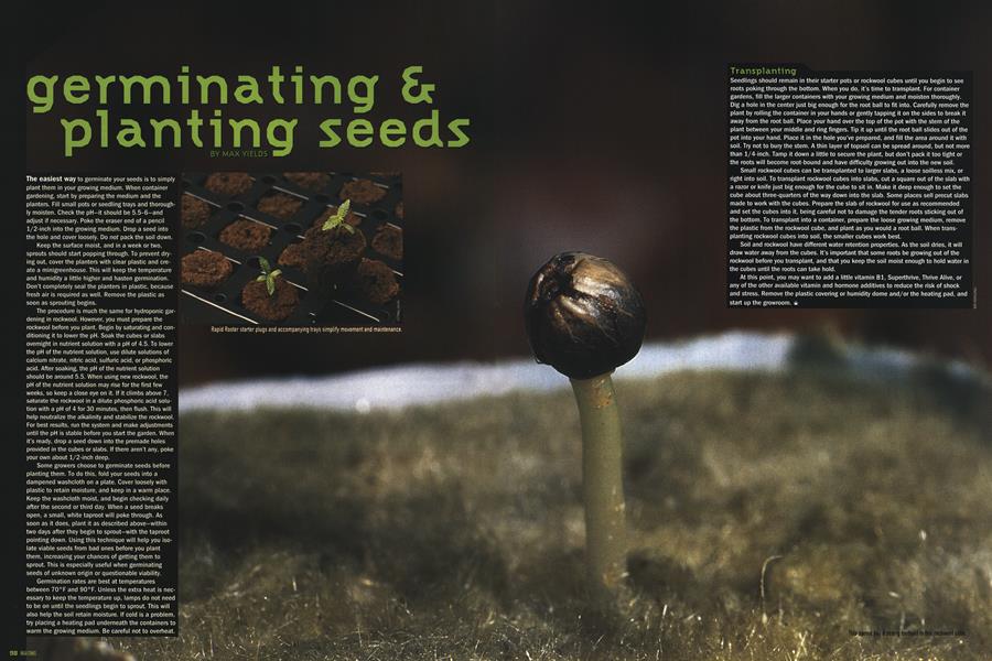 germinating & planting seeds