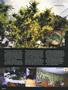 Page: - 100 | High Times