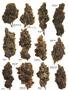 Page: - 56 | High Times