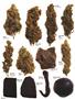 Page: - 58 | High Times