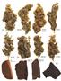 Page: - 59 | High Times