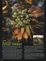 Page: - 70 | High Times