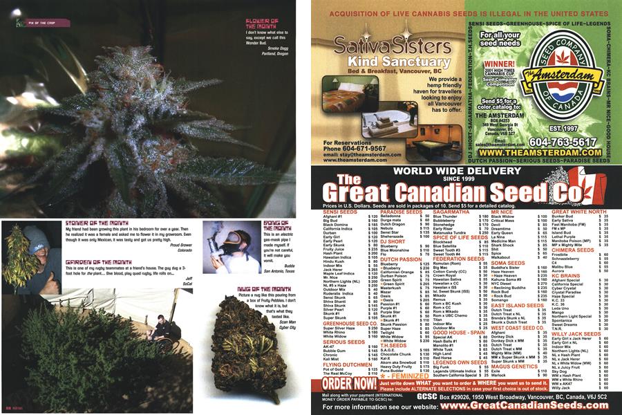 PIX OF THE CROP