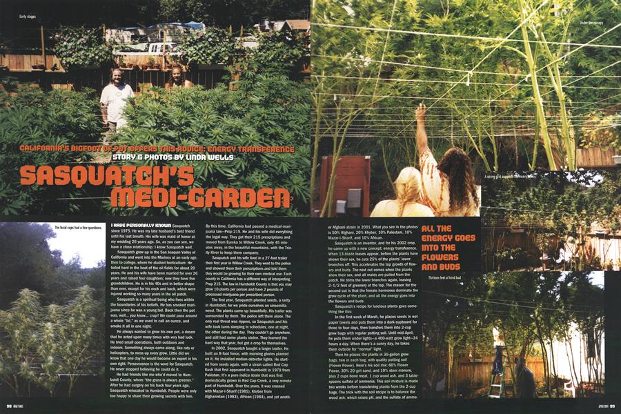 SASQUATCH'S MEDI-GARDEN