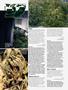 Page: - 104 | High Times